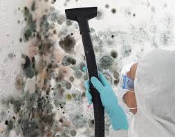 Best Residential Mold Inspection & Testing  in Champlin, MN